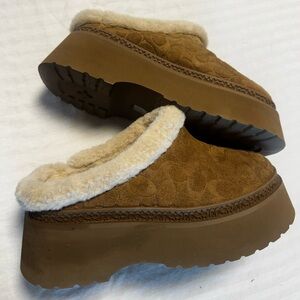 COACH Cecilia Women's Tan Shearling Slip-On Clogs